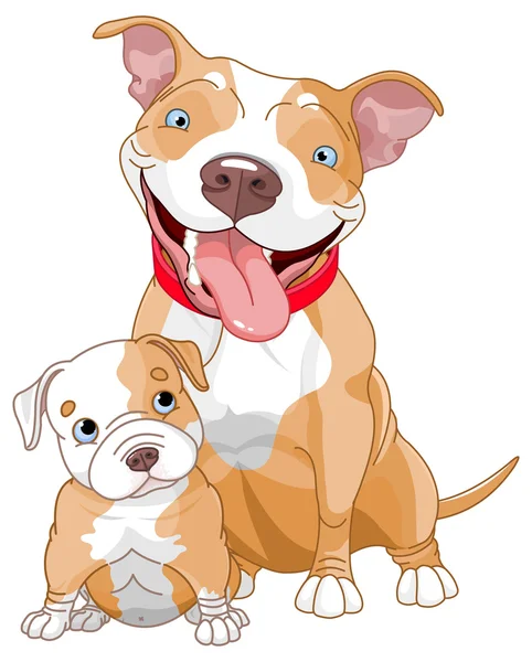 King Pitbull Kennel